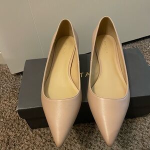 Ann Taylor Women's Pointed Toe Flats